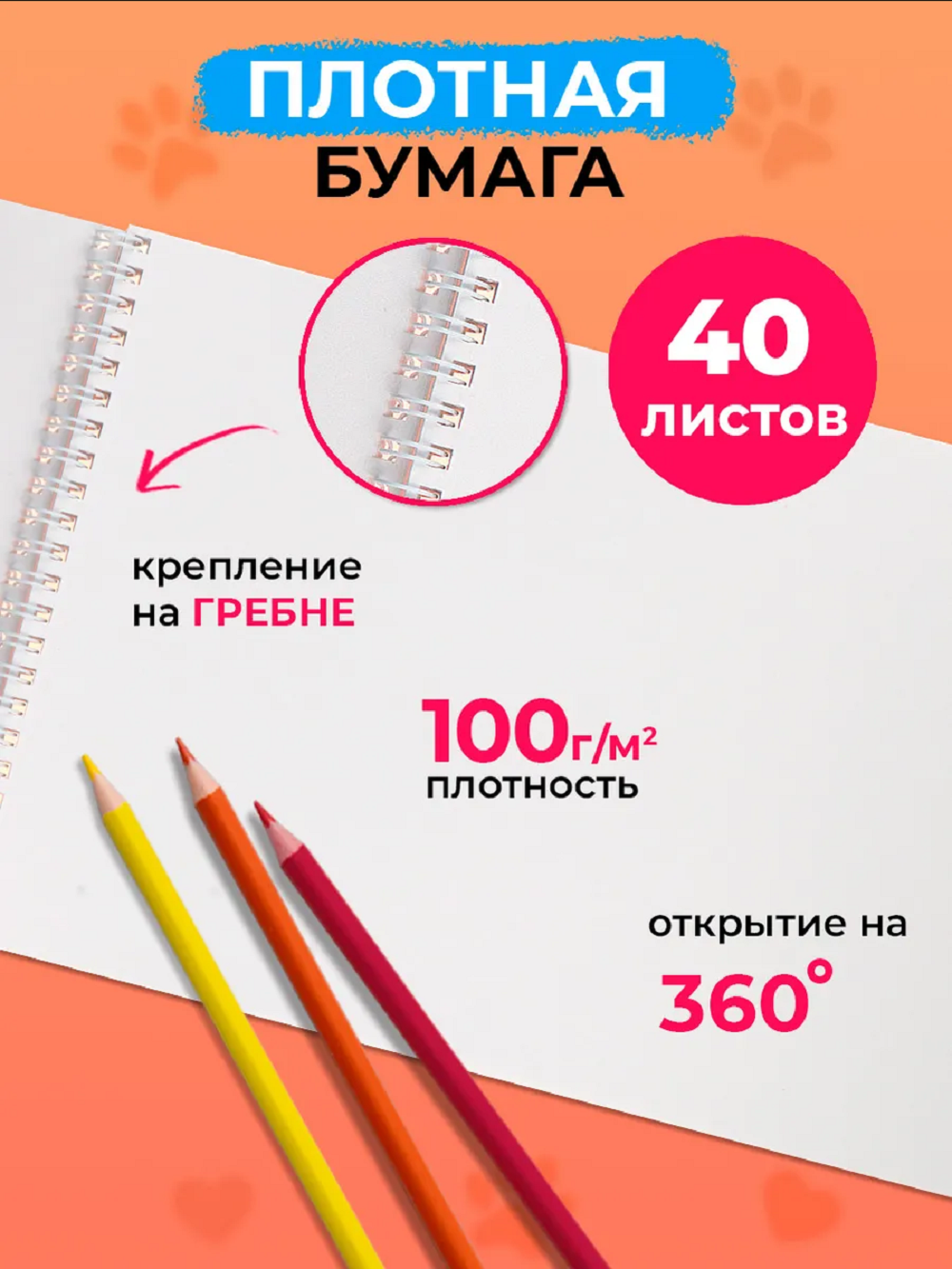 Альбом Prof-Press Нежные котики А4 40 лист. 2 шт. - фото 3