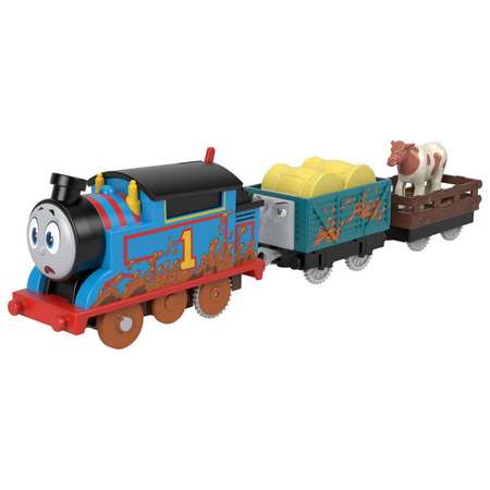 Развивающая железная дорога Thomas and Friends