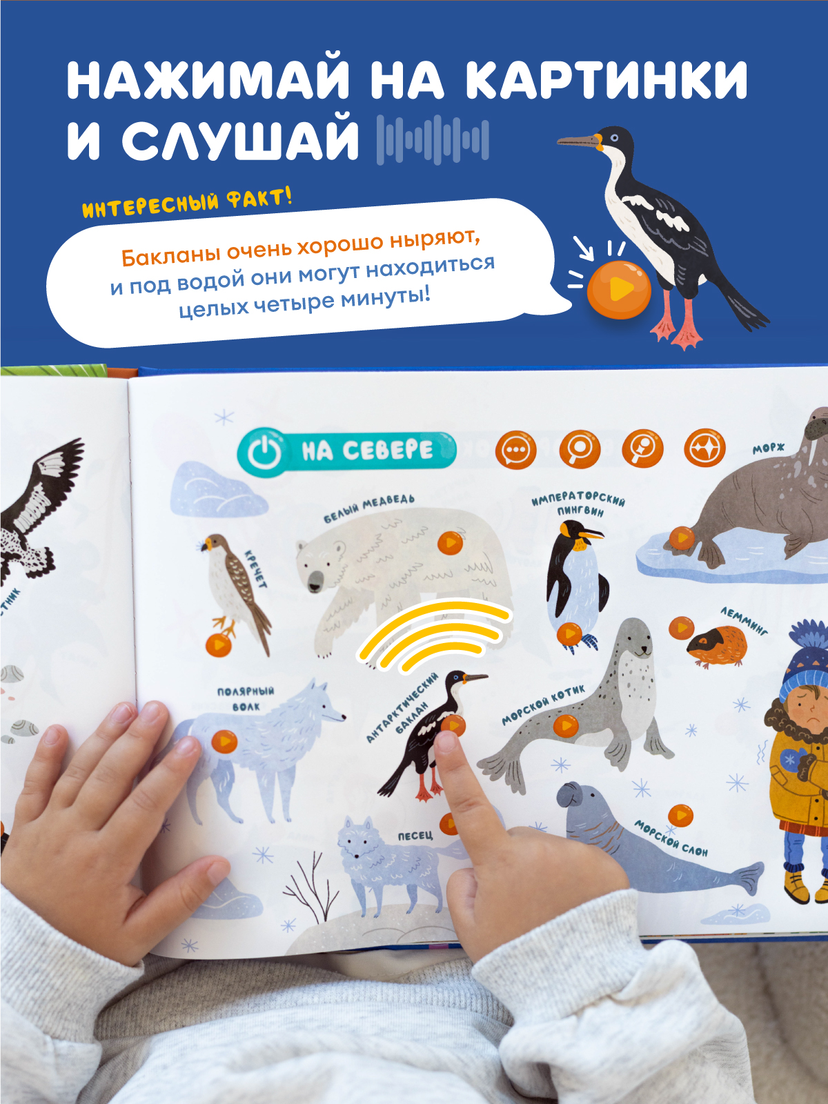 Книга интерактивная Abumba Fingerbook Какие бывают животные - фото 2