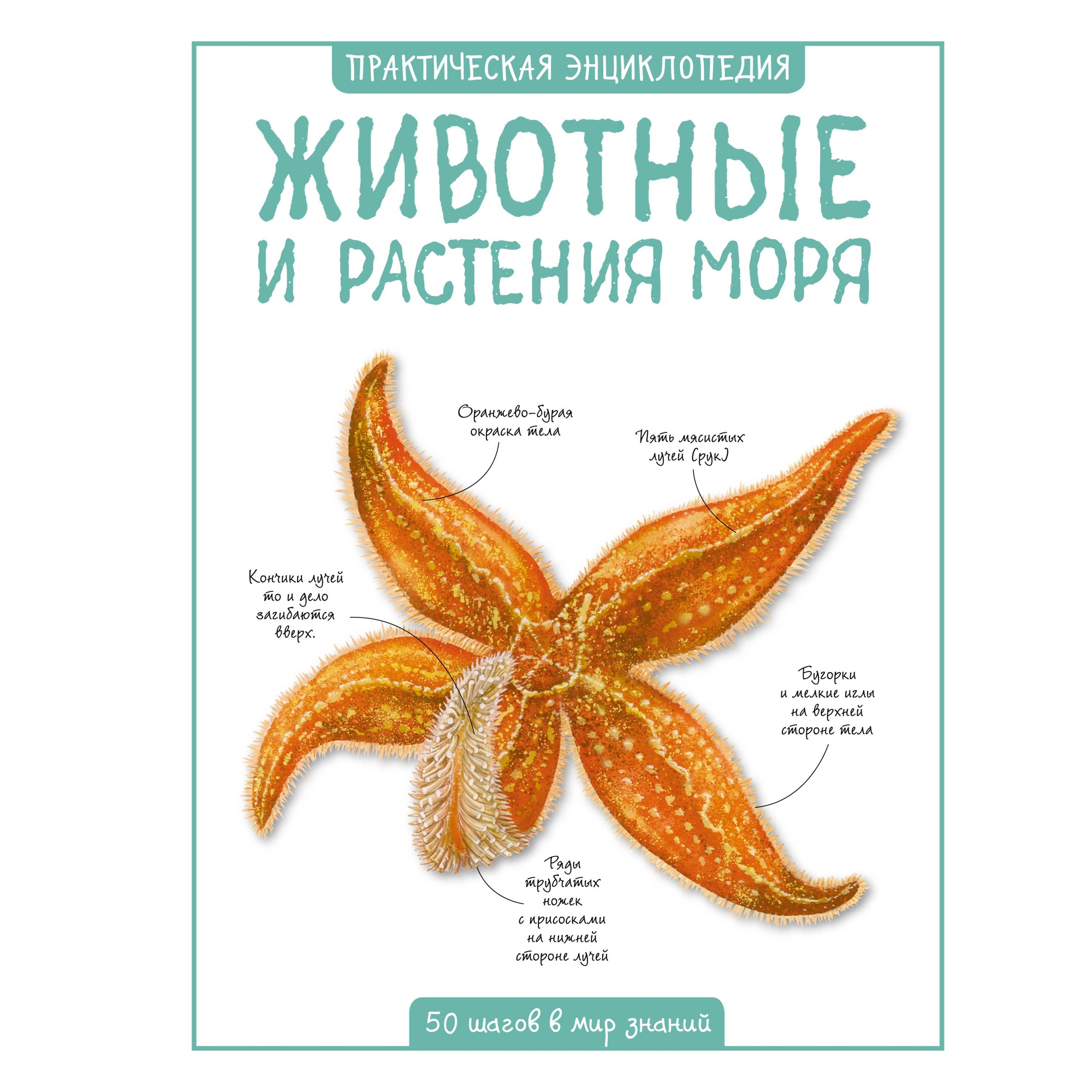 Книга Махаон Животные и растения моря - фото 1