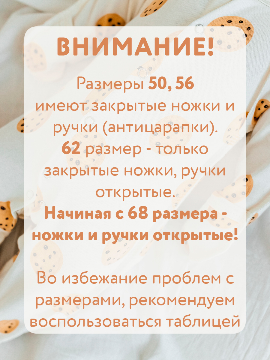 Комбинезон 3 шт Milimbi 0304.91/ВЗШ - фото 2