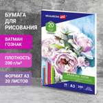 Художественная бумага Brauberg для графики 20 лист.