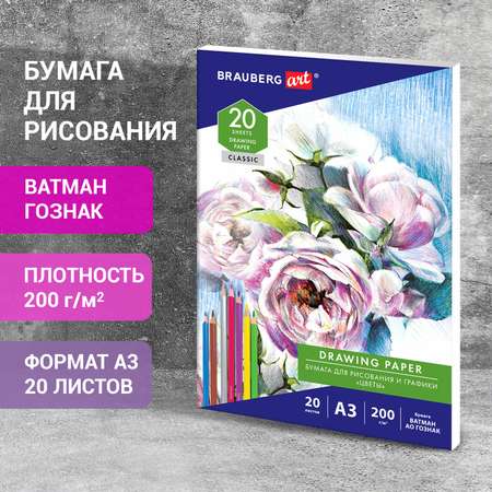 Художественная бумага Brauberg для графики 20 лист.