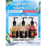 Набор сиропов SPOOM Кокос Лесной орех Соленая карамель для кофе 3шт 250мл + 3 дозатора