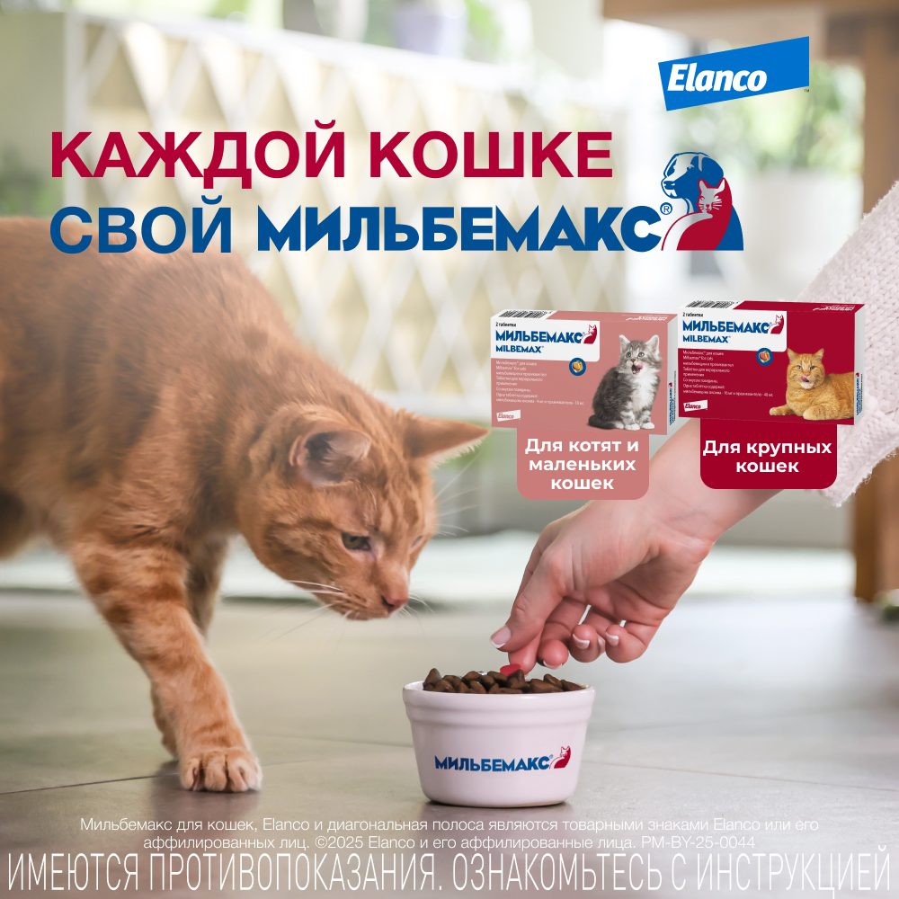 Антигельминтик для кошек Elanco Мильбемакс крупных пород 2таблетки - фото 10
