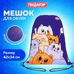 Мешок для обуви Пифагор