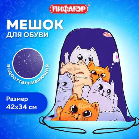 Мешок для обуви Пифагор
