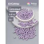 Набор для творчества Astra Craft бусины 5х6 мм 50г цилиндр