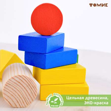 Конструктор Томик Цветной деревянный