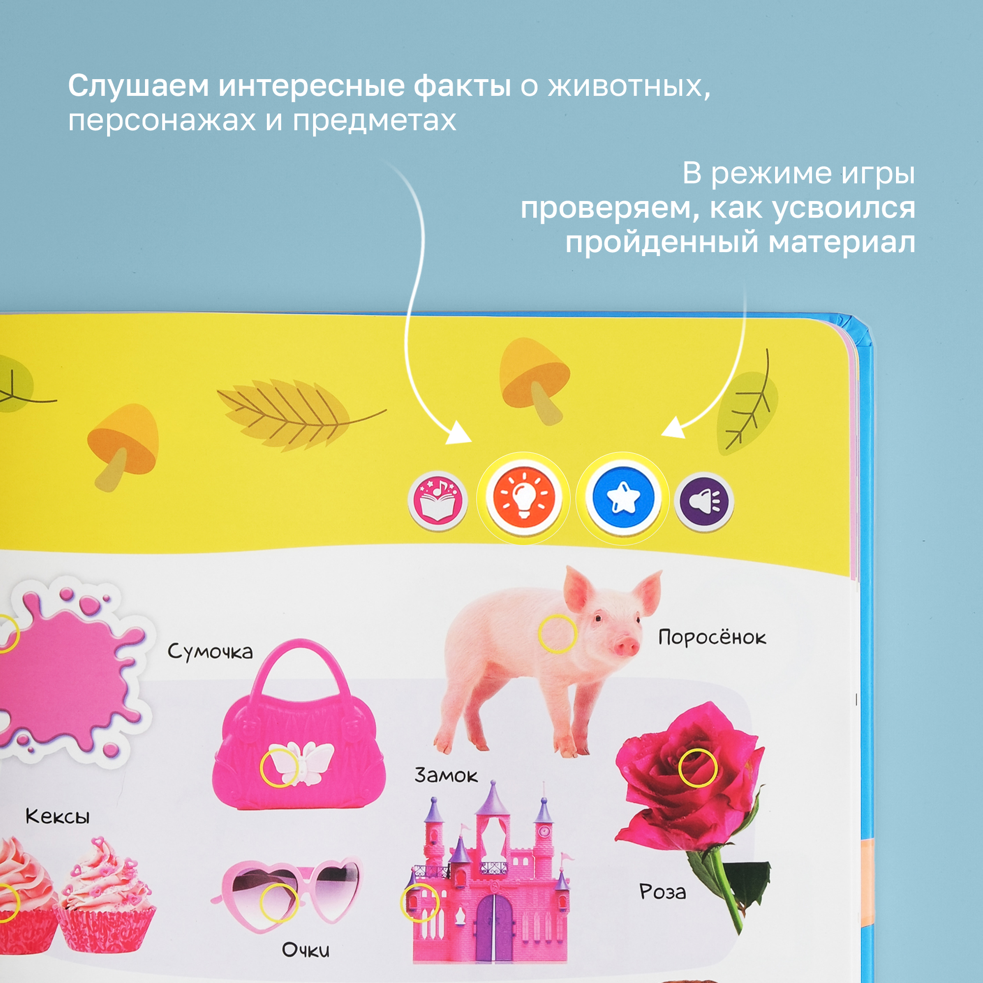 Говорящая книжка BertToys большая нажималка Первые знания - фото 5