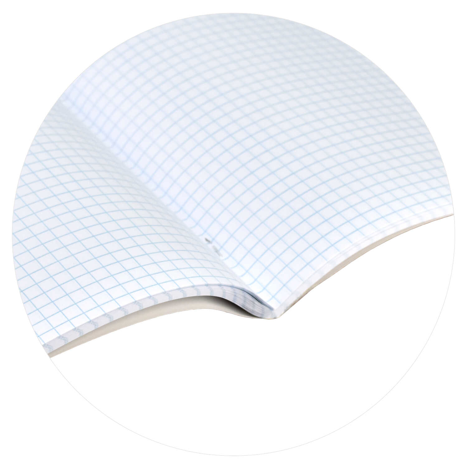 Тетрадь Феникс + 48 лист. 15 шт. (Литература, Русский язык, Обществознание) - фото 12