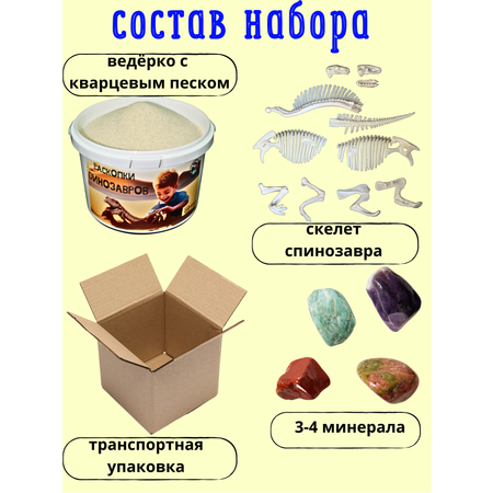 Набор для опытов VSEVERA Эксперименты с динозавром