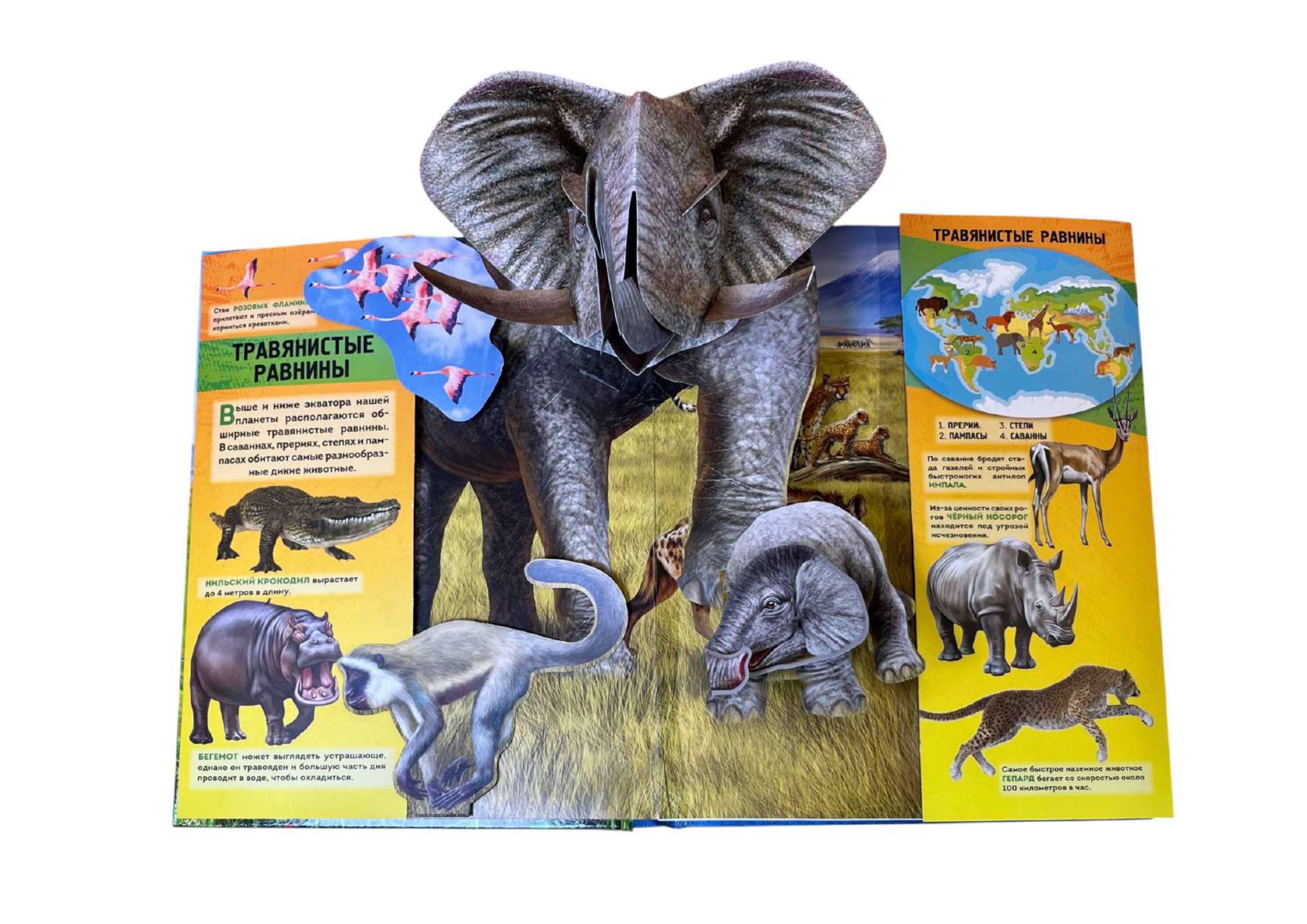 Книга Эксмо Животные 3D энциклопедия - фото 2