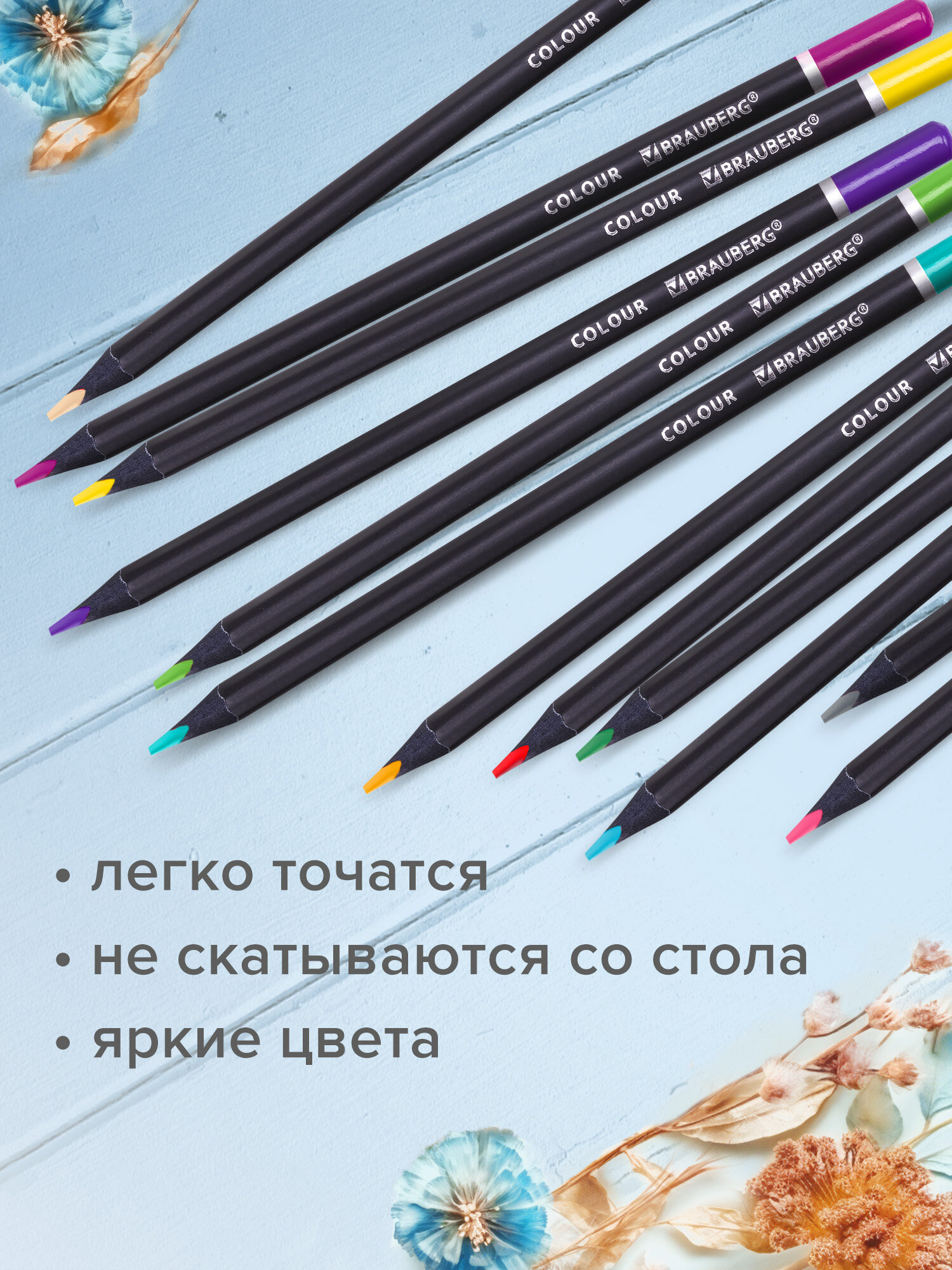 Карандаши цветные Brauberg 12 шт. - фото 5