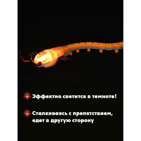 Игрушка Veld Co развивающий центр Многоножка