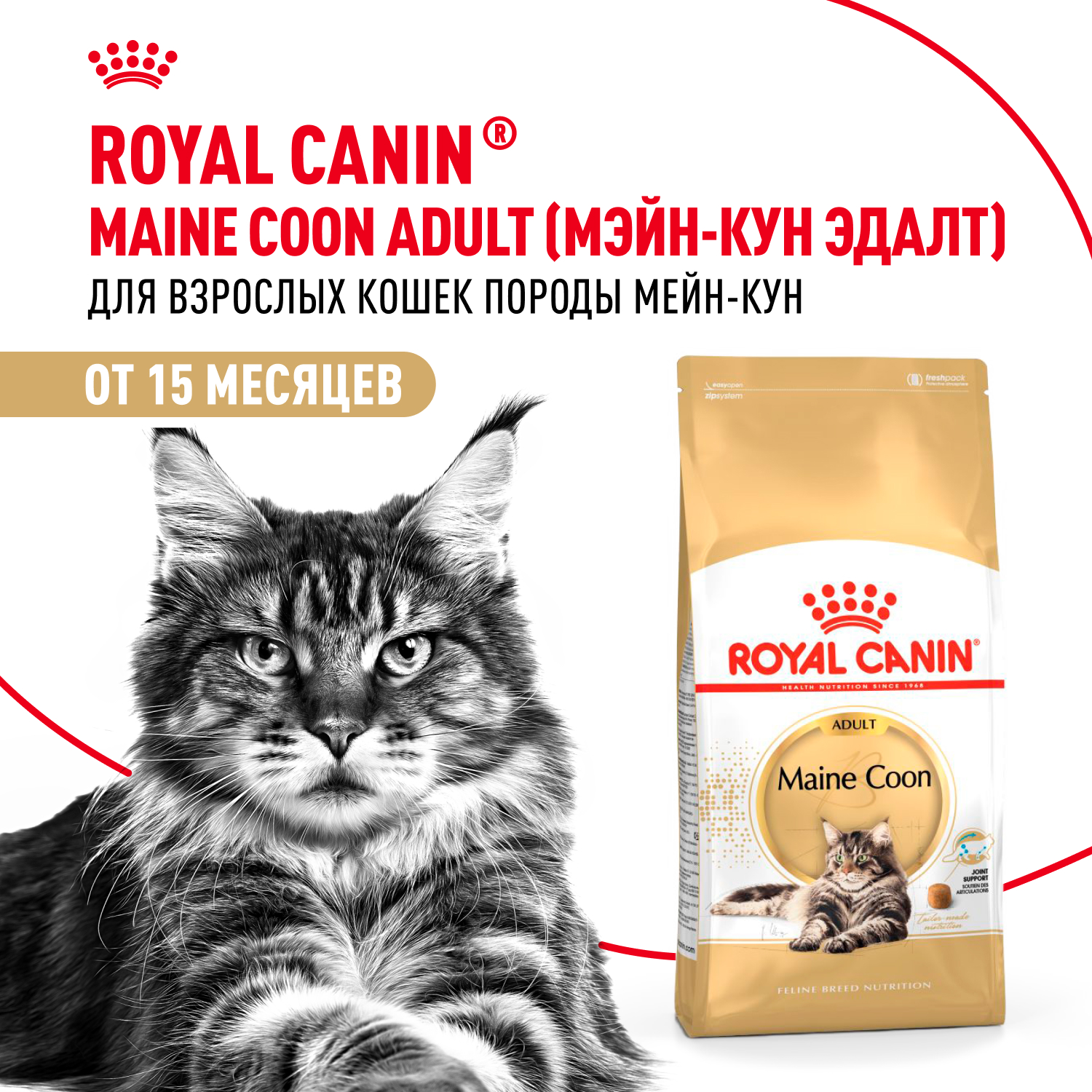Корм сухой для кошек ROYAL CANIN Maine Coon 4кг породы мейн-кун - фото 1