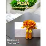 Фигурка Мадагаскария