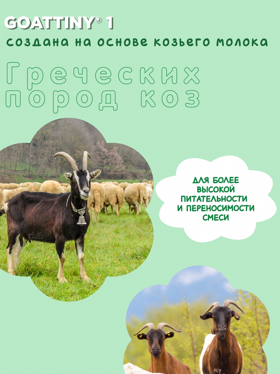 Смесь молочная Goattiny 4 - фото 7