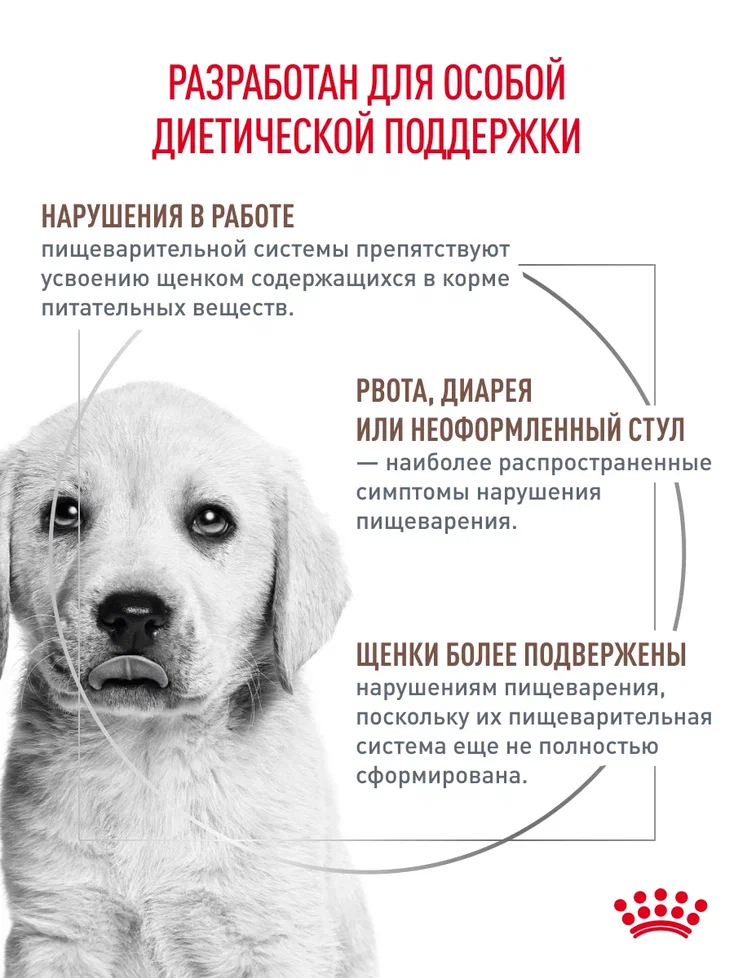 Корм для щенков ROYAL CANIN Gastro Intestinal Junior GIJ29 при нарушениях пищеварения 10кг - фото 2