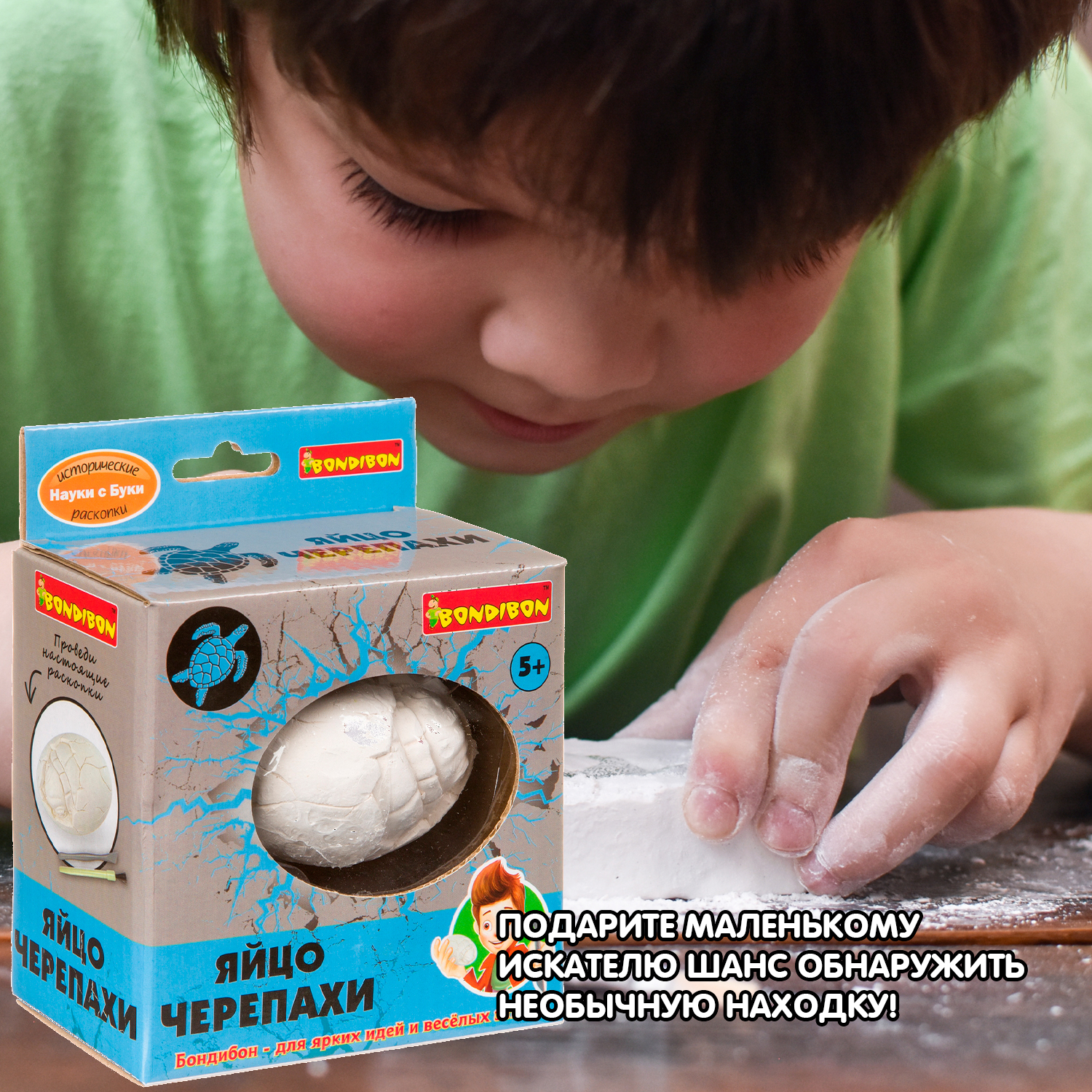 Набор для раскопок Bondibon палеонтология: Яйцо черепахи - фото 7
