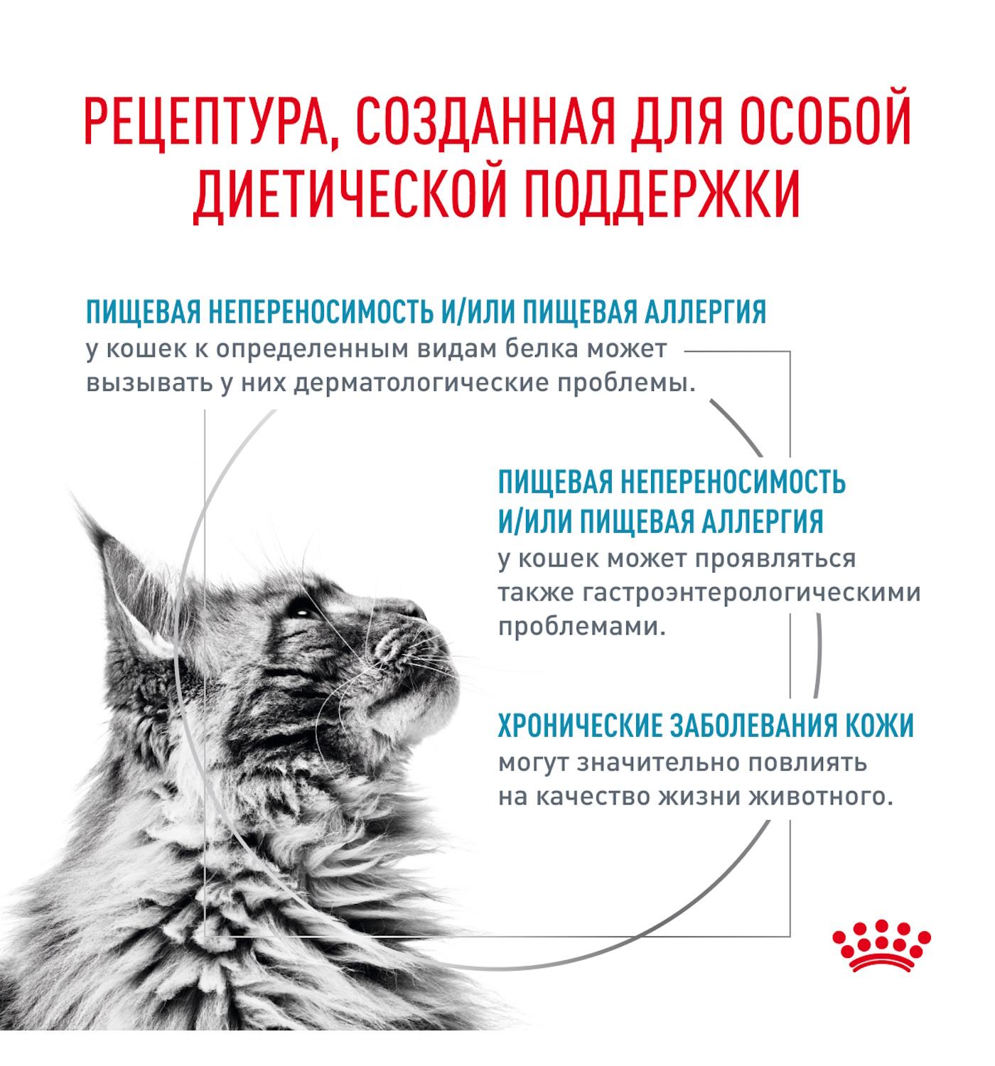 Корм для кошек ROYAL CANIN 0.350кг Hypoallergenic гипоаллергенный - фото 2