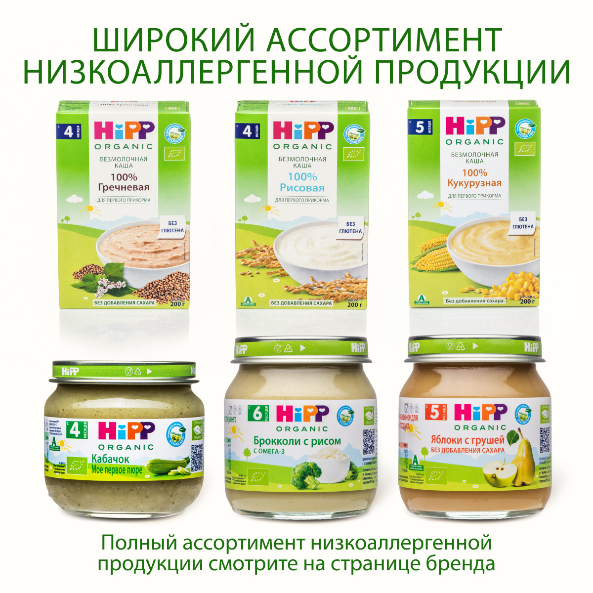 Пюре Hipp Мое первое пюре брокколи 80г с 4месяцев - фото 13