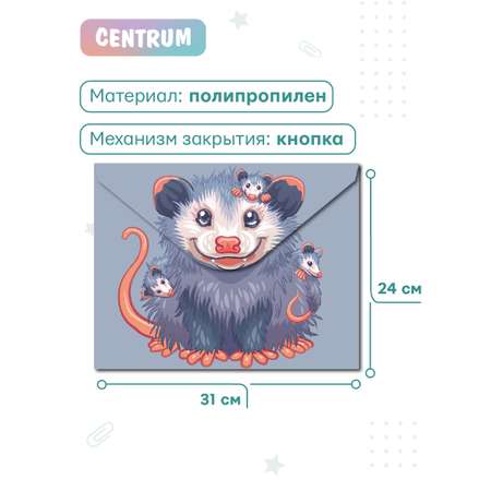 Папка-конверт CENTRUM А4