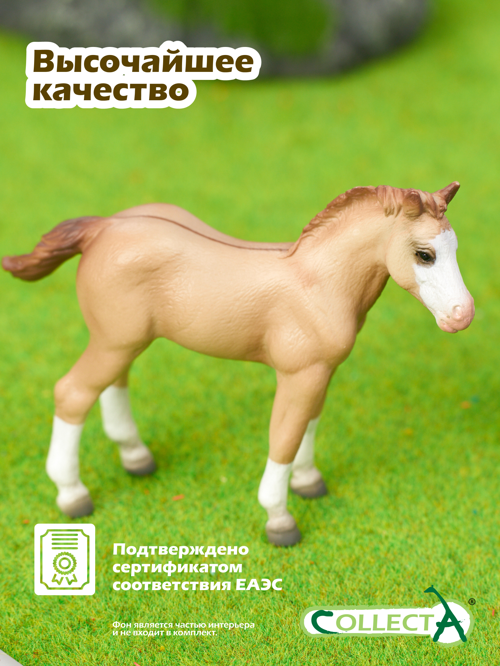 Фигурка Collecta Жеребёнок Кватерхорс - фото 5