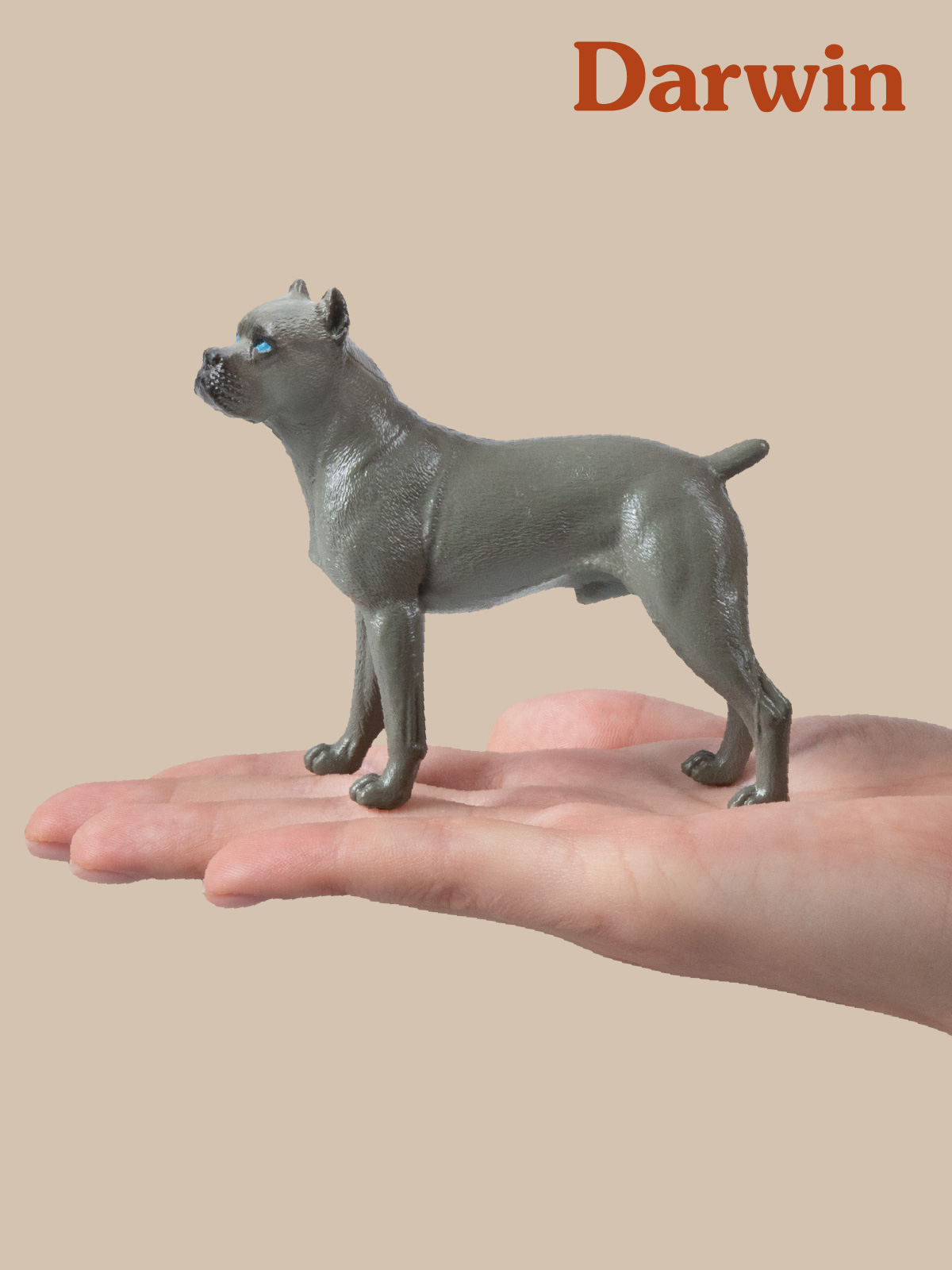 Фигурка DARWIN Собака Кане-корсо - фото 2