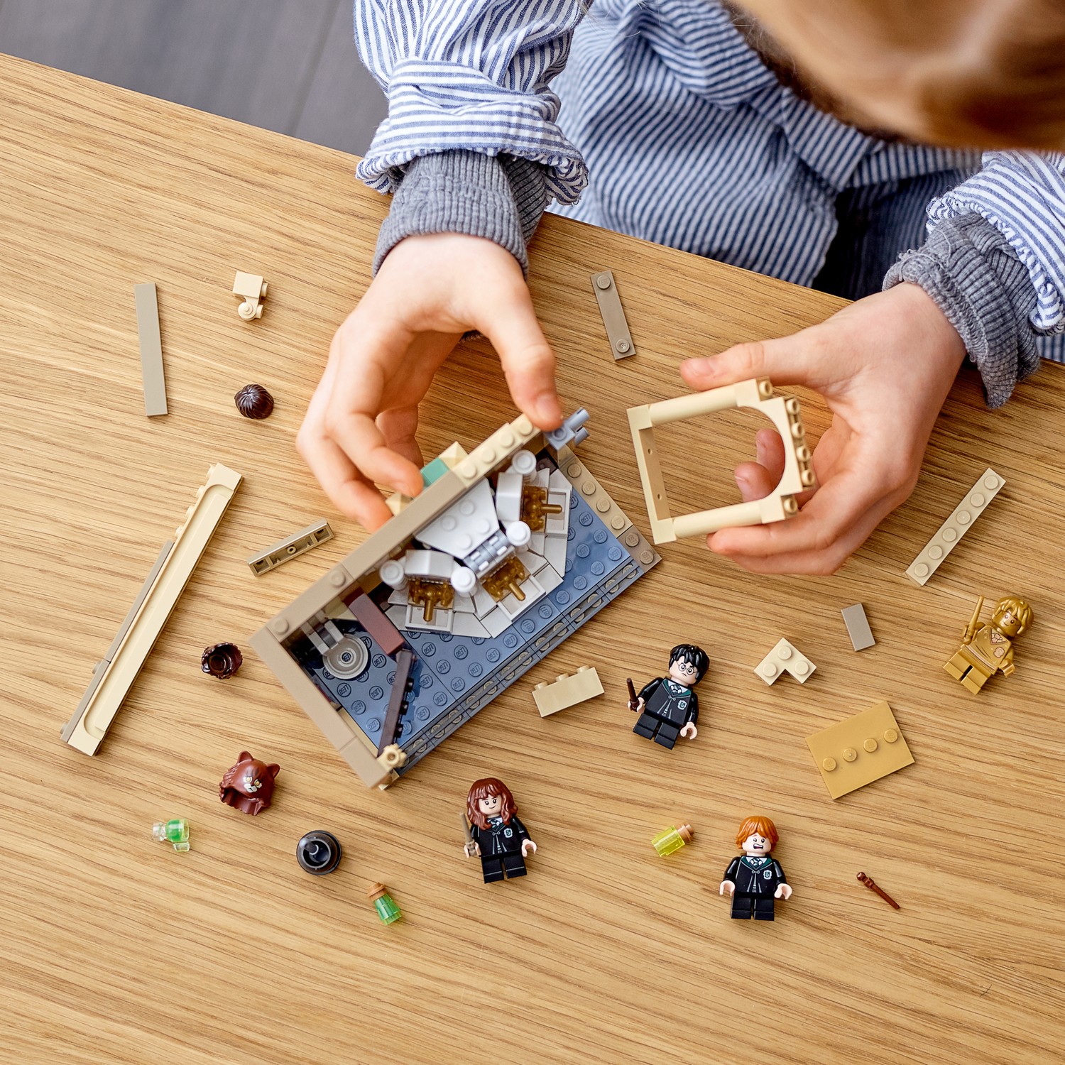 Конструктор LEGO Harry Potter Ошибка с оборотным зельем - фото 12