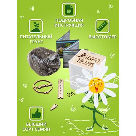 Набор для выращивания Blabar