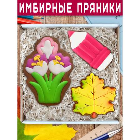 Пряники имбирные ручной работы Вкусный подарок Подарочный набор в подарок учителю