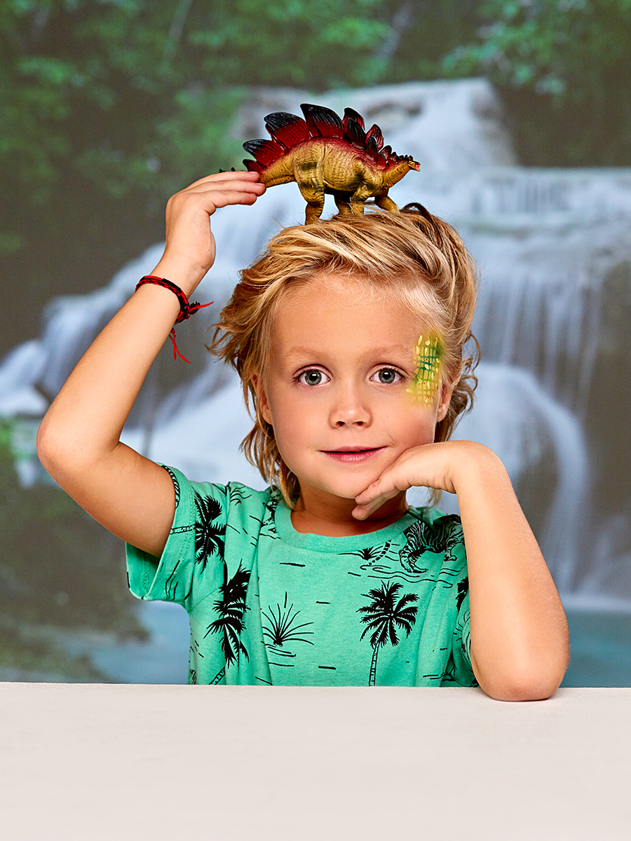 Игровой набор Masai Mara Стегозавр - фото 6