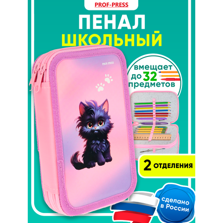 Пенал книжка Prof-Press