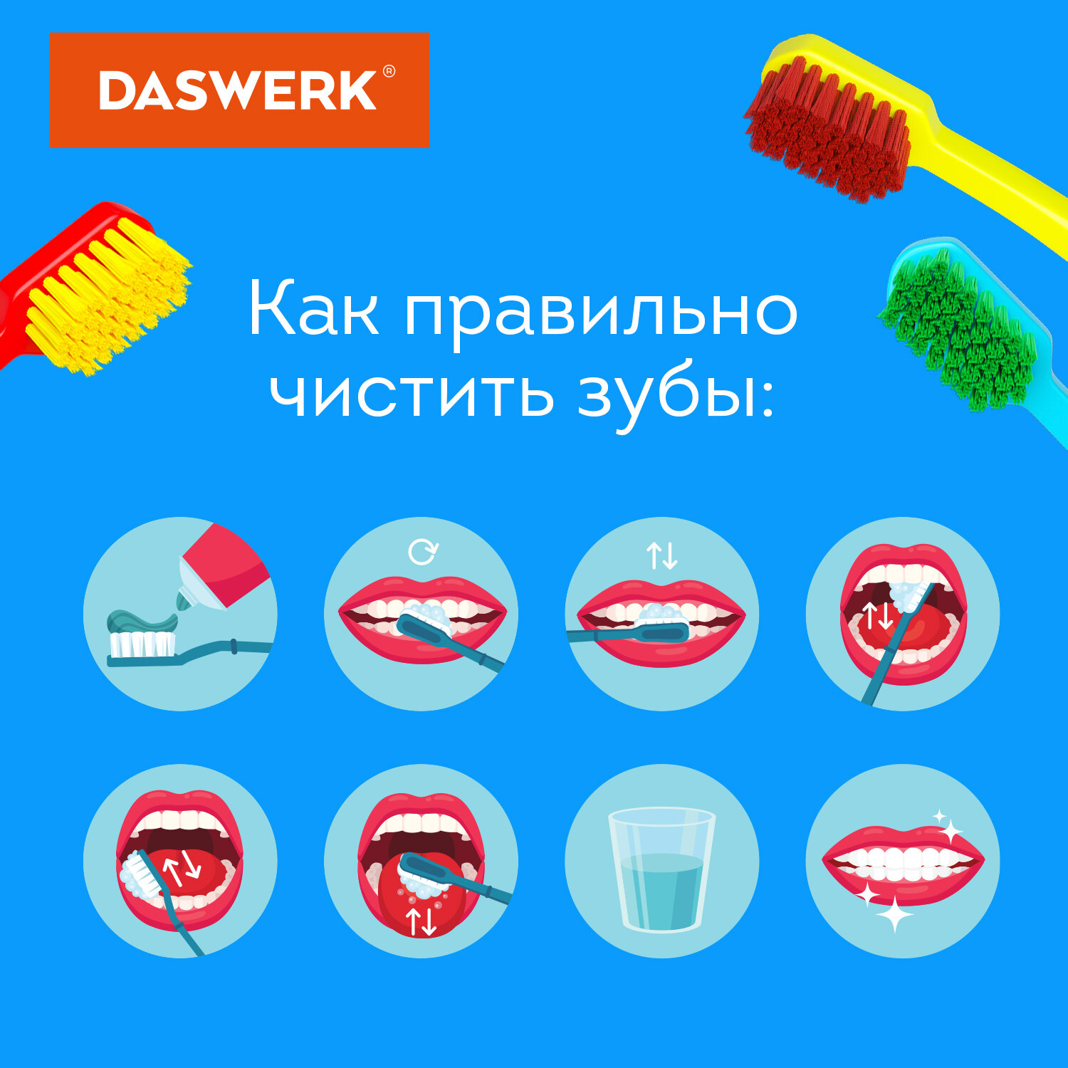Зубная щетка классическая DASWERK - фото 4