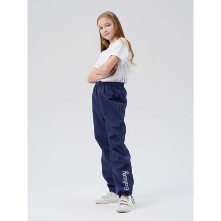Брюки Lemonwear