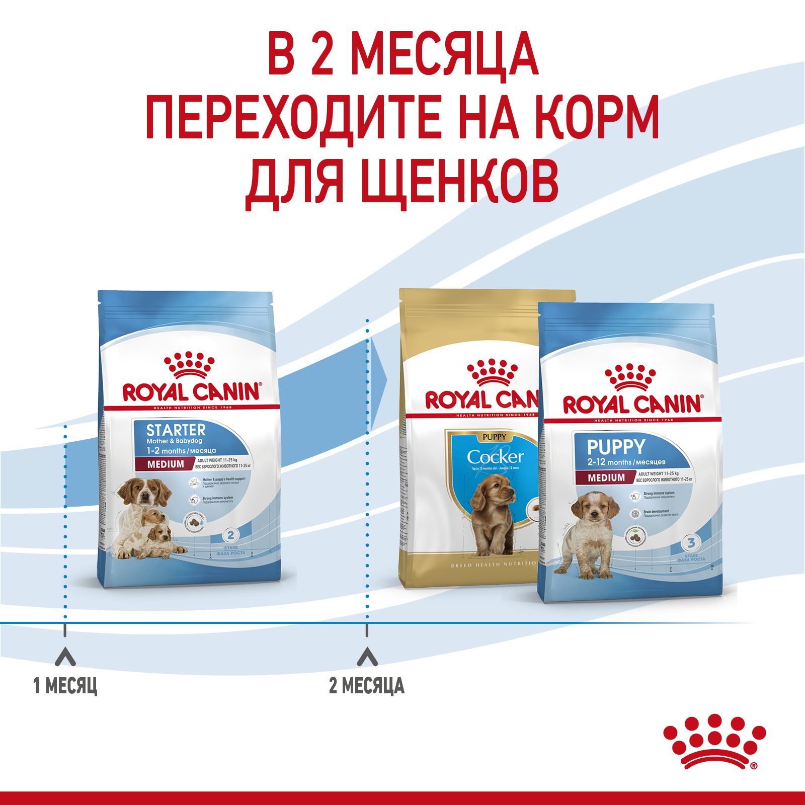 Корм для щенков беременных и кормящих Royal Canin 4кг Medium Starter средних сухой - фото 5