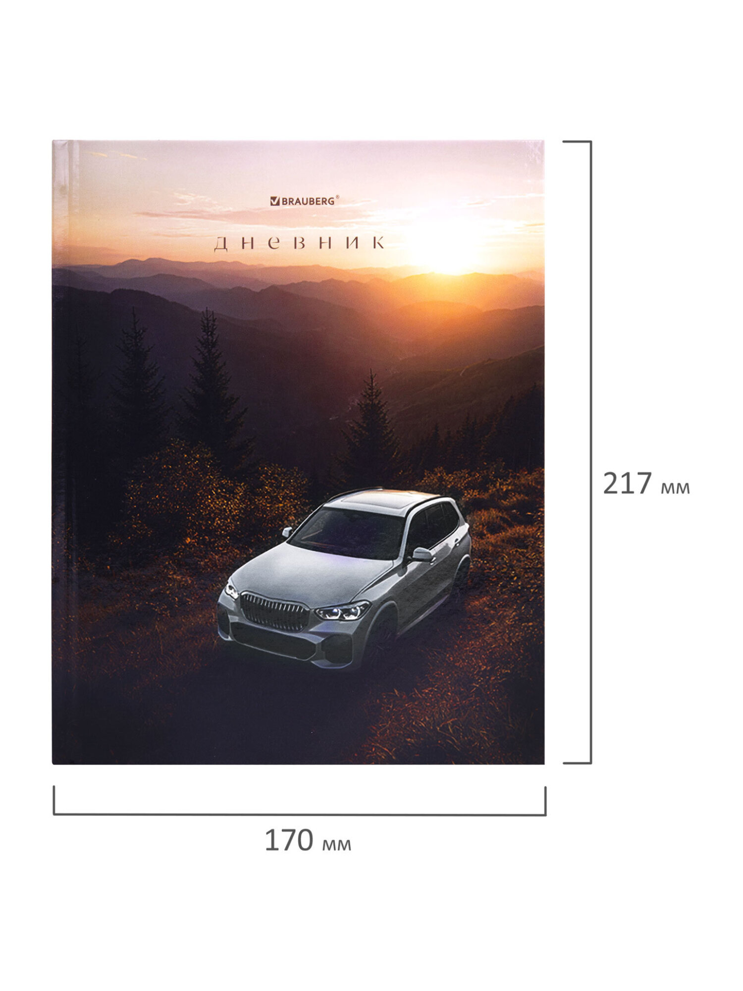 Дневник школьный Brauberg для мальчика 1-11 класс твердая обложка 40 листов - фото 12