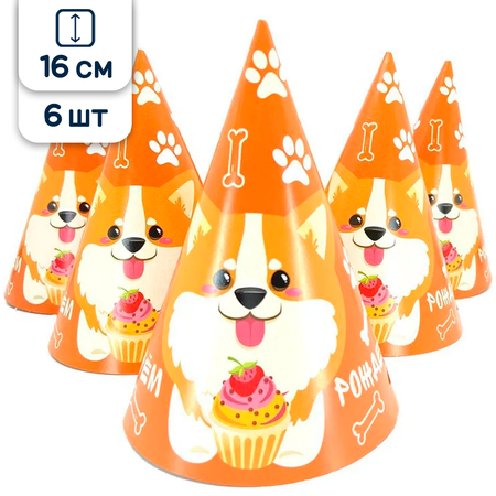 Колпак Riota 6 шт.
