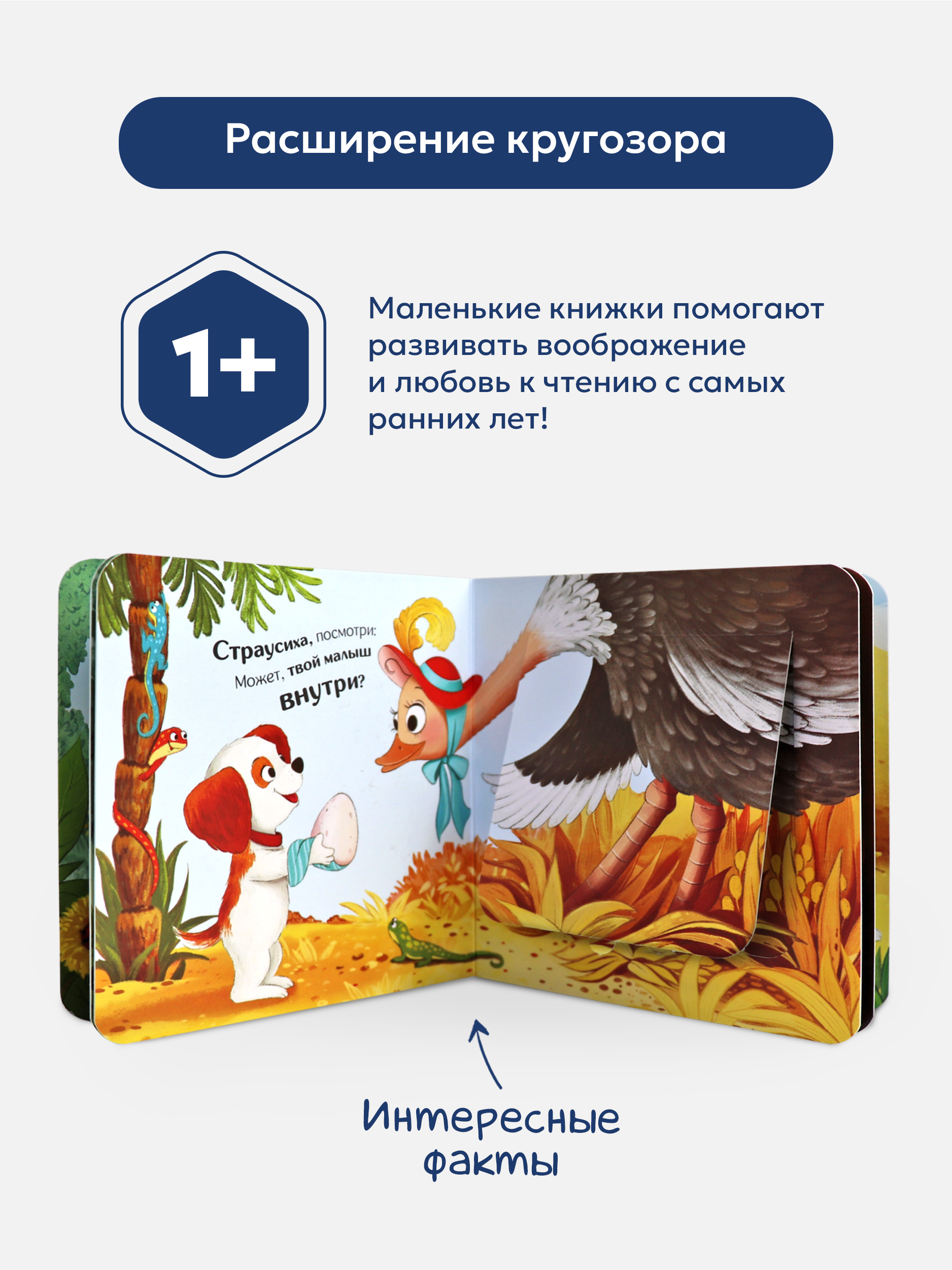 Сказки и стихи для малышей Malamalama Набор книг с окошками 4 штуки - фото 6