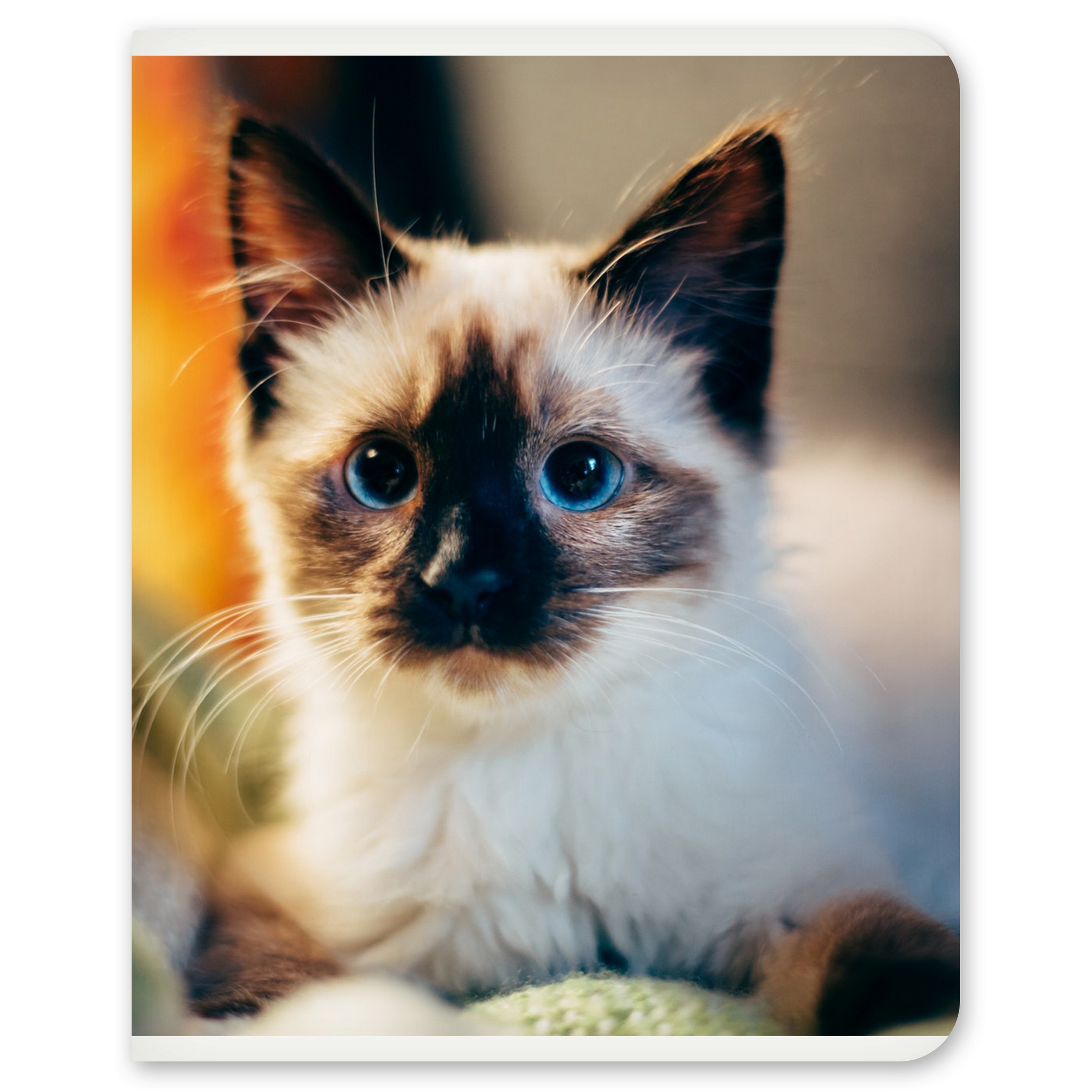 Общая тетрадь Полиграф Принт клетка 48 лист. в ассортименте - фото 10