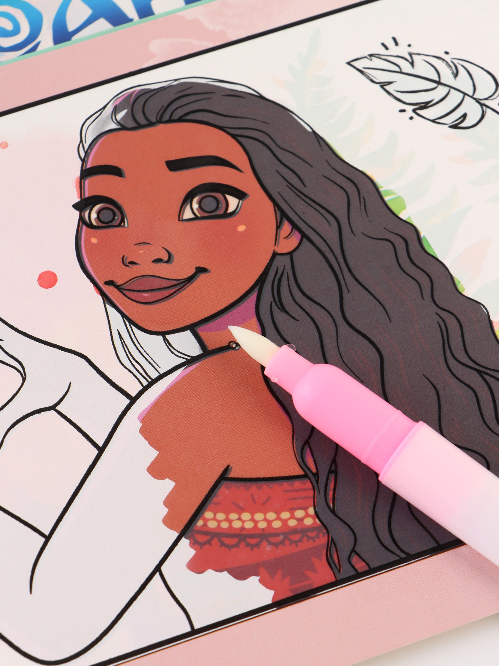 Водная раскраска Disney Поиски Пуа многоразовая Моана - фото 5