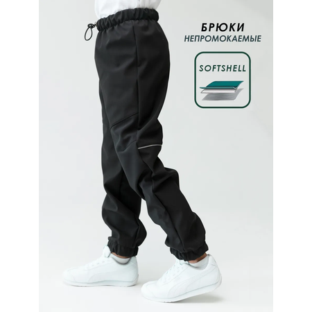 Брюки Lemonwear