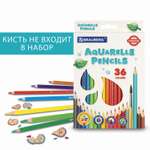 Карандаши акварельные Brauberg 36 шт.