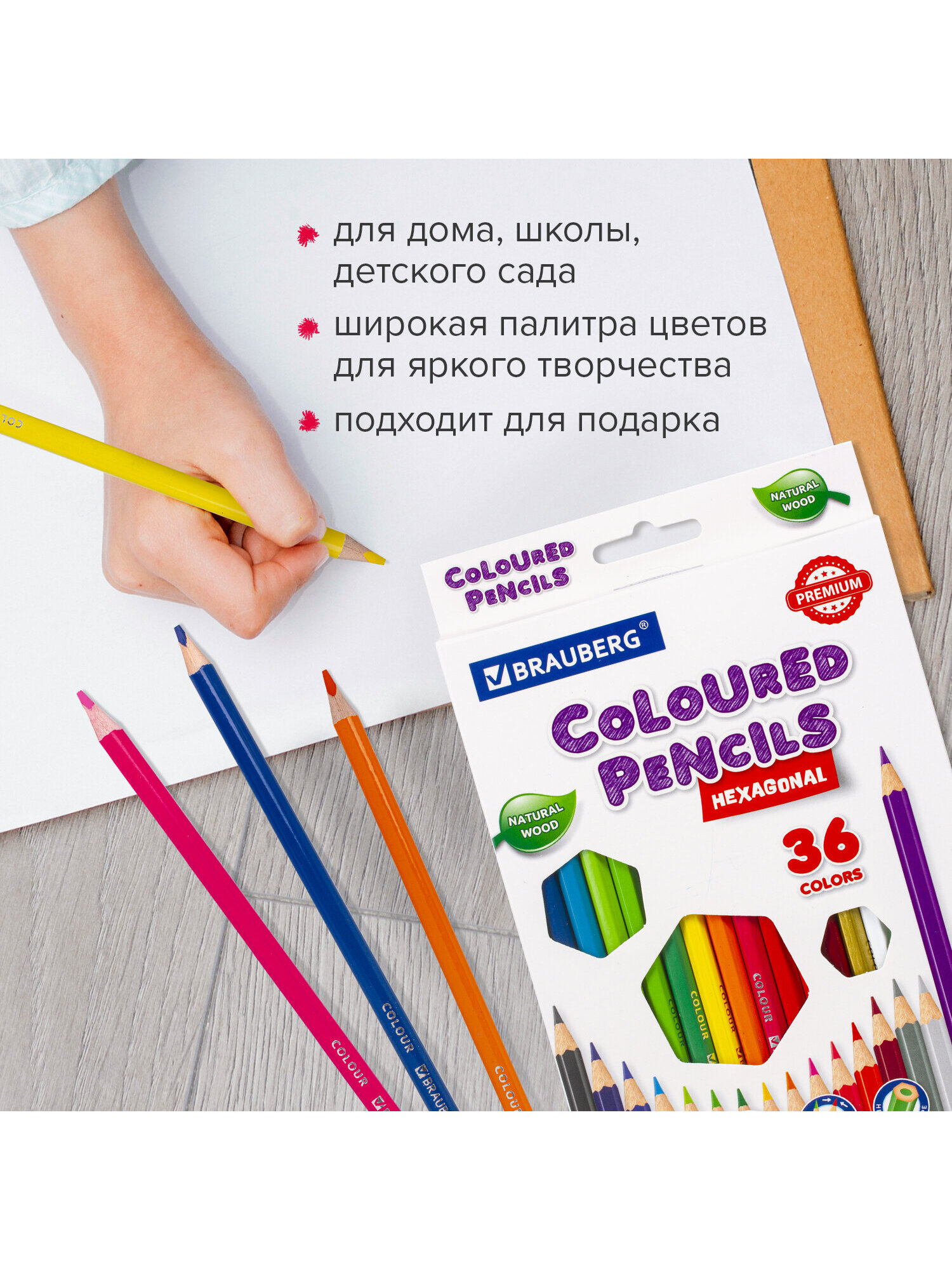 Карандаши цветные Brauberg 36 шт. - фото 5
