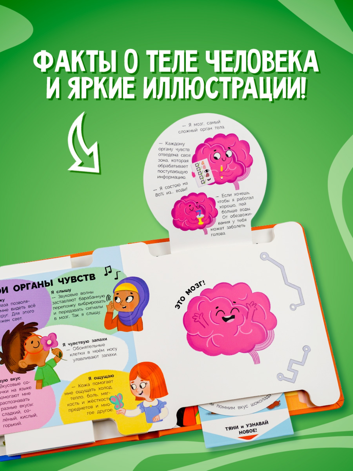 Книга АСТ Интерактивная Моё тело - фото 2