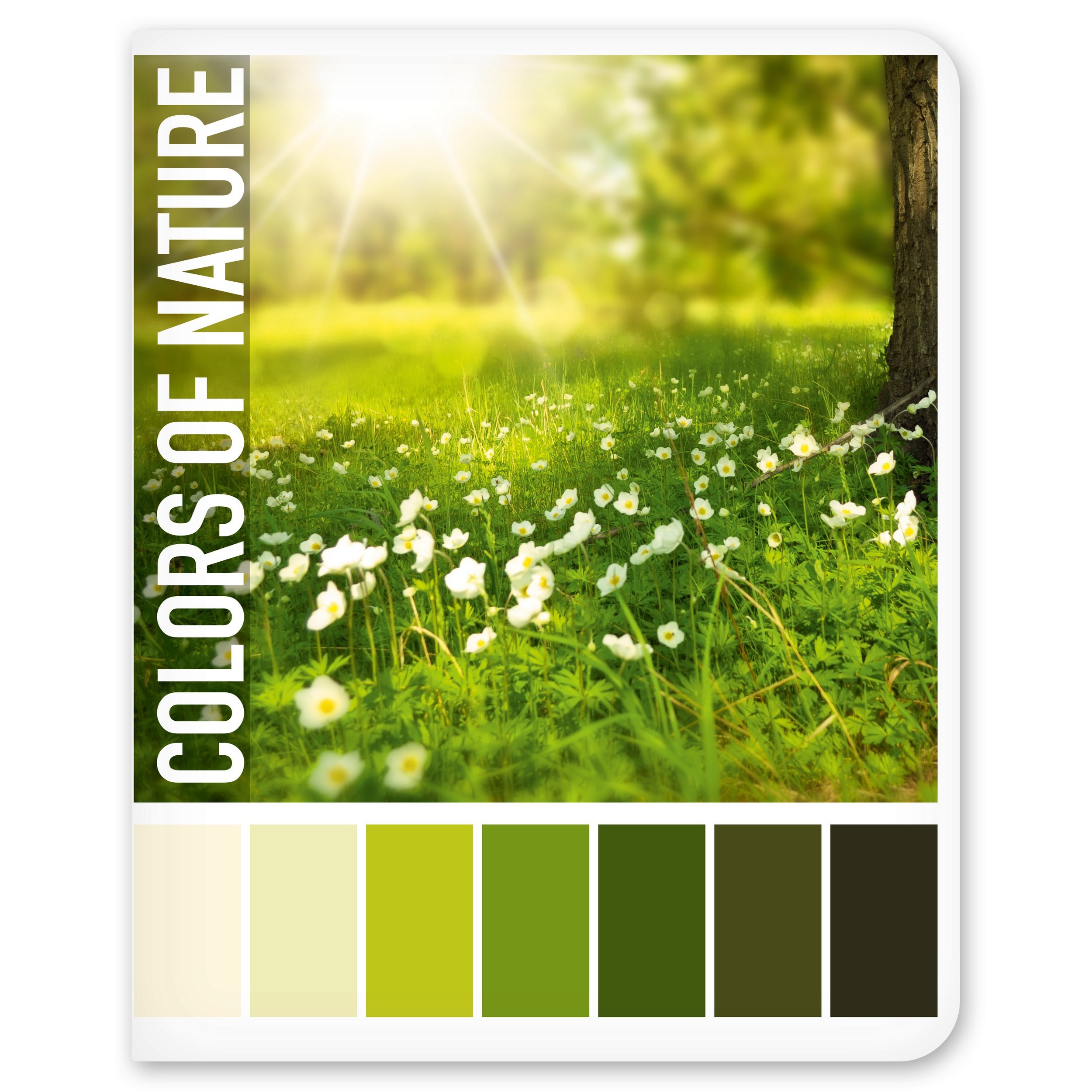 Общая тетрадь Полиграф Принт клетка 48 лист. в ассортименте - фото 10