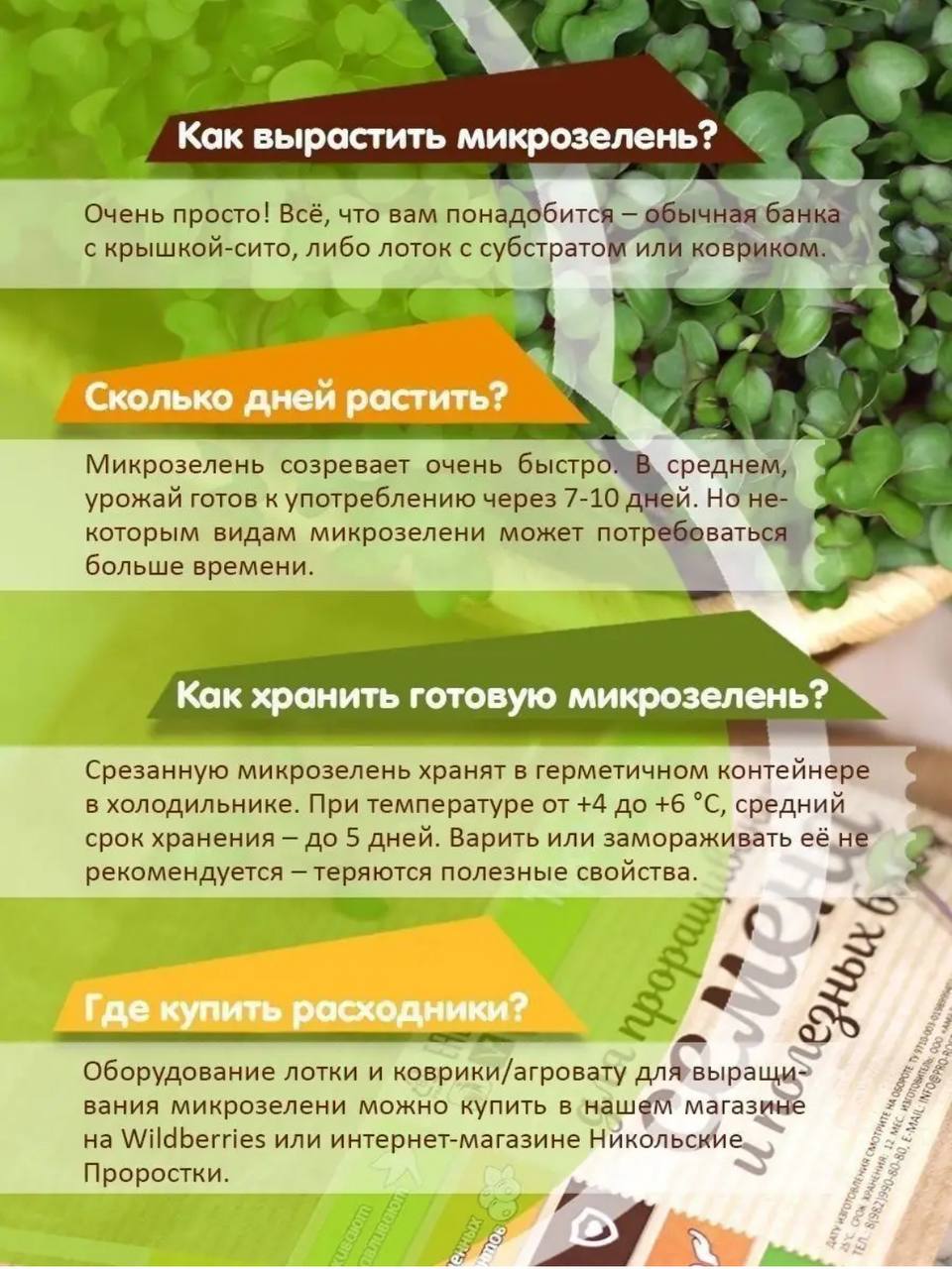 Семена для микрозелени Никольские ПроРостки бобы Мунг - фото 7