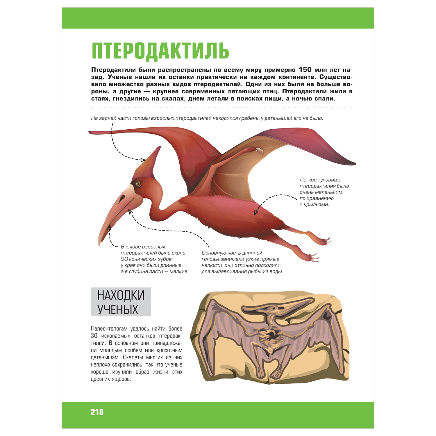 Энциклопедия АСТ Я знаю всё гигантская детская энциклопедия - фото 11