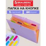 Папка-органайзер Brauberg А4